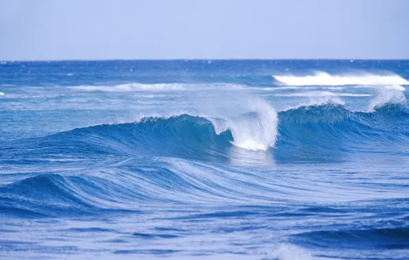 Picture sea, wave, comb