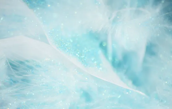 Lights, background, holiday, gentle, blue, Shine, new year, feathers
