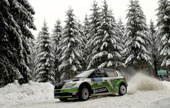 Winter, Auto, Snow, Forest, Sport, WRC, Rally, Skoda