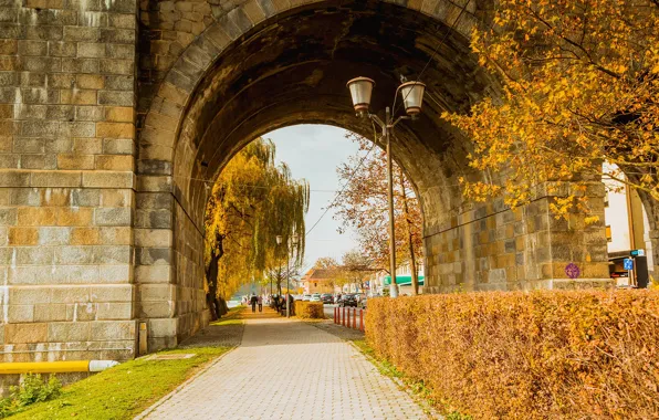 Autumn, street, lights, the sidewalk, Slovenia