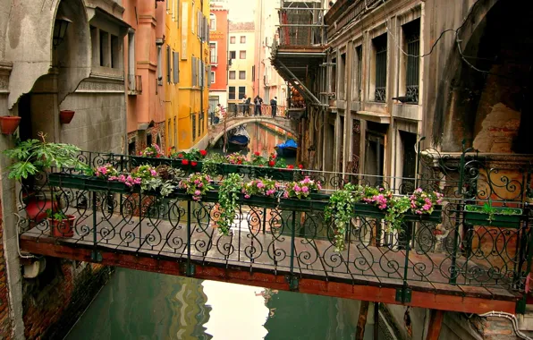 Flowers, Venice, channel, the transition, the bridge