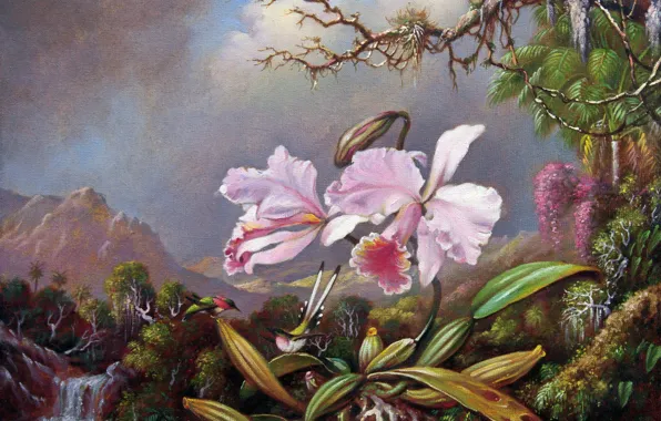 Picture, painting, canvas, Martin Johnson Head, Martin Johnson Heade, Orchids and hummingbirds