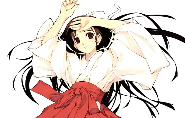 White background, priestess, long hair, art, visual novel, murakami suigun, lilly whit