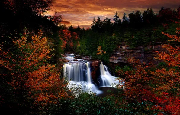 Trees, sunset, foliage, waterfall, Forest