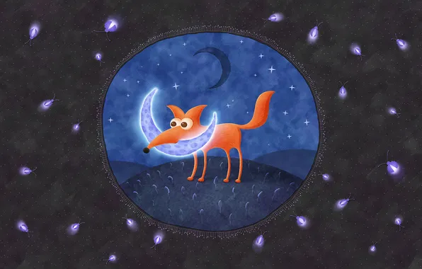 Night, fireflies, the moon, a month, Fox