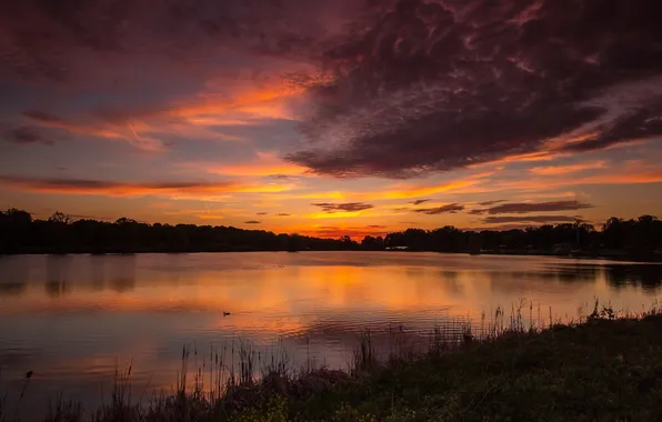 Clouds, sunset, lake, pond
