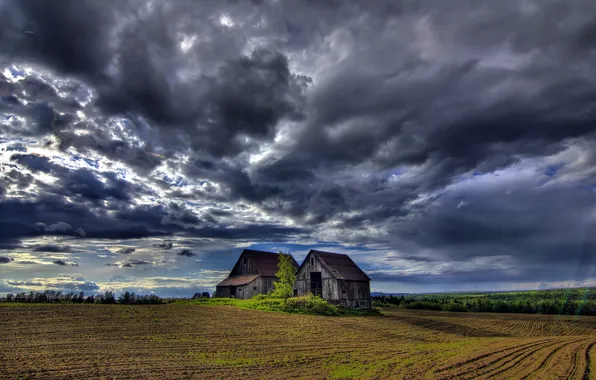 Picture field, the sky, house