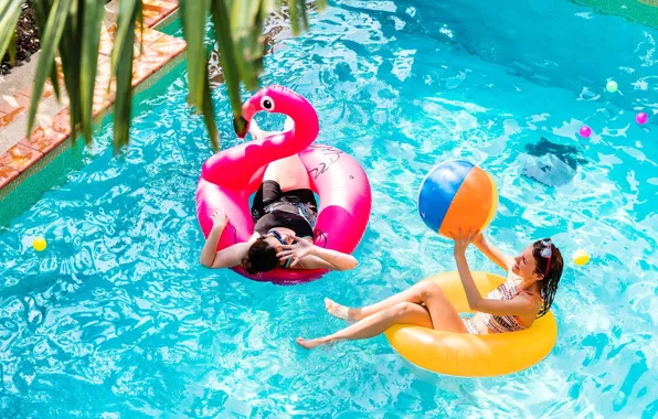 Water, girls, stay, pool, Flamingo