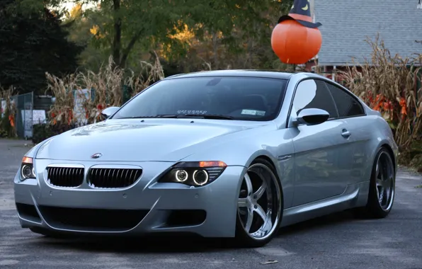 Trees, the building, bmw, BMW, silver, silver, drives, e63