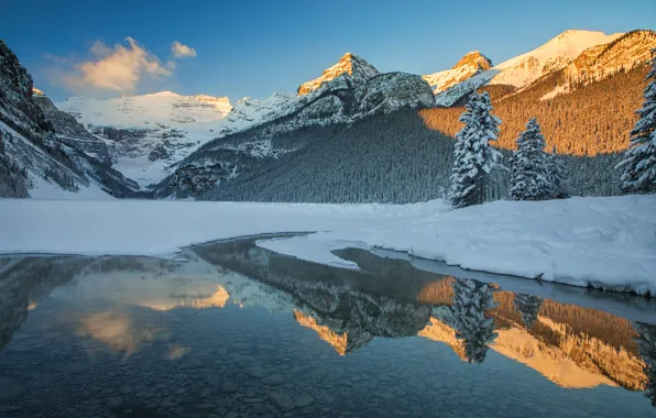 Winter, forest, snow, mountains, lake, reflection, ate, Canada