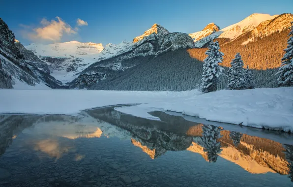 Picture winter, forest, snow, mountains, lake, reflection, ate, Canada