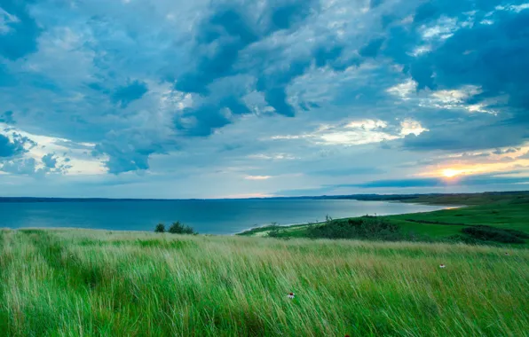 Picture field, the sun, sunset, lake, Lake Sakakawea