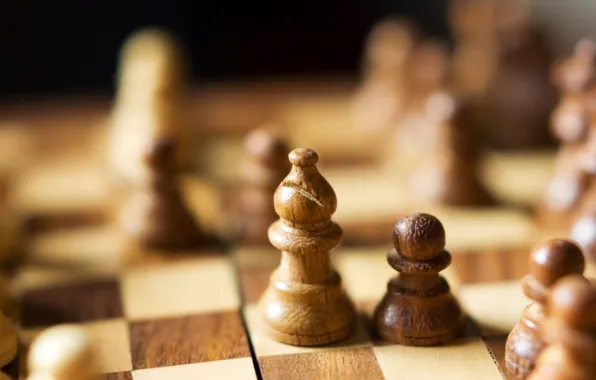 Macro, the game, chess, wooden, anticarsia