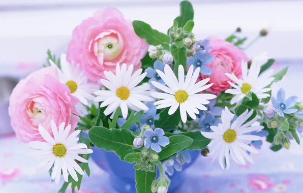 Flowers, chamomile, bouquet