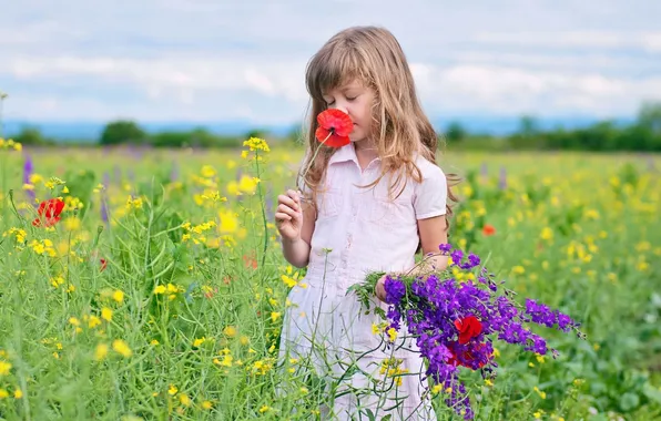 Picture flowers, meadow, girl