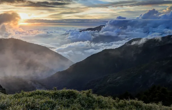 The sky, grass, clouds, landscape, mountains, fog, tops