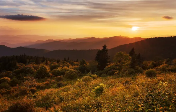Autumn, forest, the sun, sunset, mountains, hills, vegetation, ate
