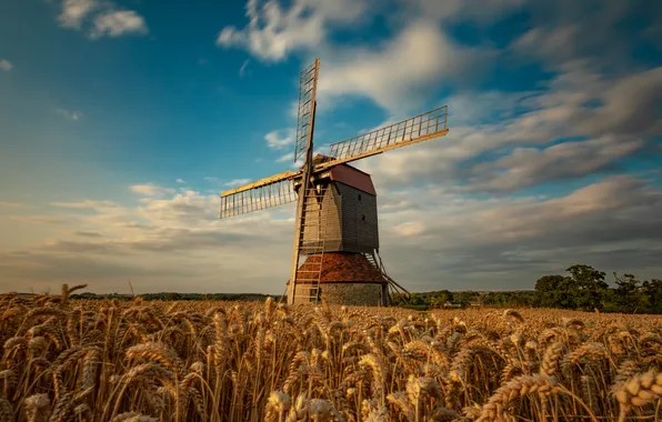 Wheat, field, the sky, clouds, mill, ears, wheat field, windmill