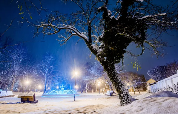 Winter, light, snow, trees, the city, Park, tree, the evening