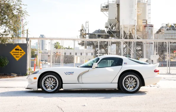 Picture Dodge Viper, 1997, American Car, GTSR