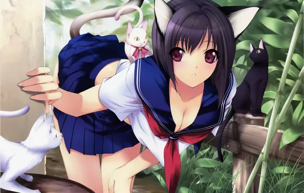 Girl, cats, tail, angle, form, ears, neko, Peeps