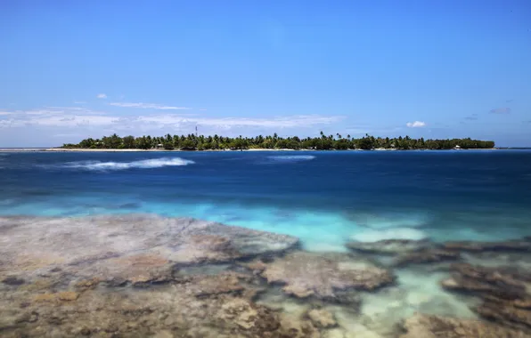 Picture sea, wave, clouds, trees, island, reef, blue sky