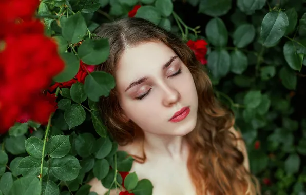Leaves, girl, flowers, branches, nature, pose, portrait, roses