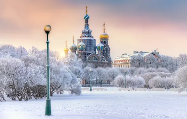 Picture winter, snow, trees, Saint Petersburg, lantern, Cathedral, temple, Russia