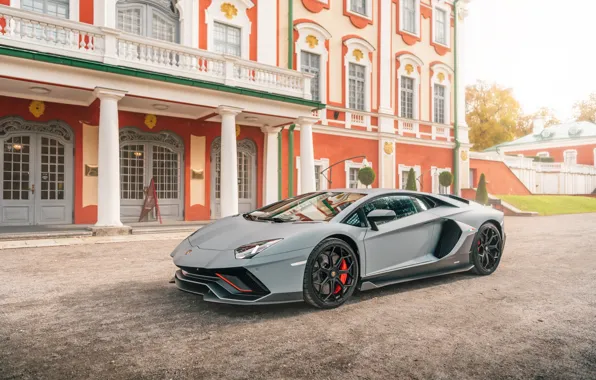 Lamborghini, Grey, Supercar, Grey, Supercar, Sports car, Sportcar, Avendator