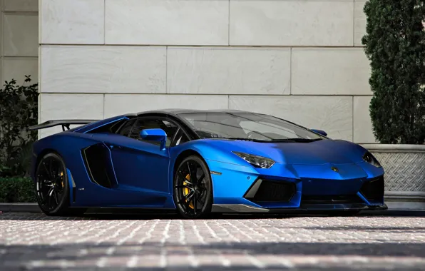 Roadster, Lamborghini, LP700-4, Aventador, matte blue