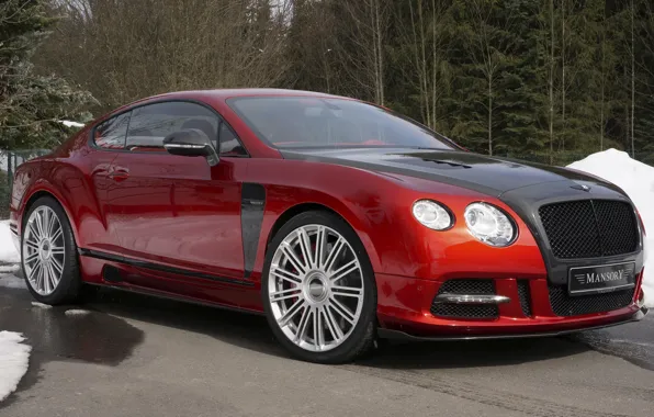 Picture Bentley, Continental, Bentley, continental, Mansory