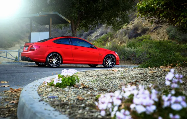 Red, Mercedes Benz, AMG, C63