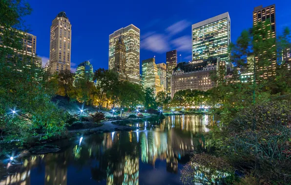 Picture the city, Park, skyscrapers, the evening, USA, America, USA, New York City