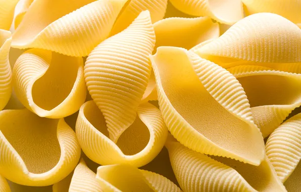 Shells, preparation, pasta, noodles, raw, product, several, nourishing