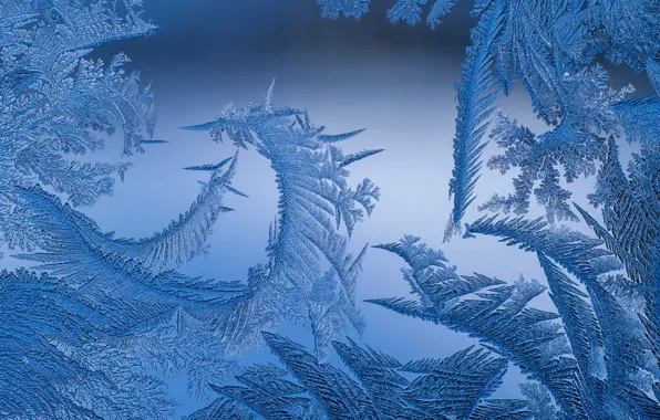 Winter, Window, Frost