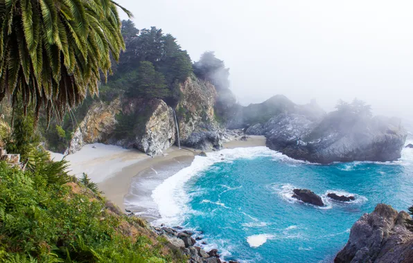 Sea, beach, water, nature, fog, palm trees, island