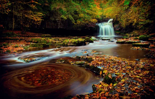 Autumn, forest, foliage, waterfall, excerpt, Yorkshire, October, Northern England