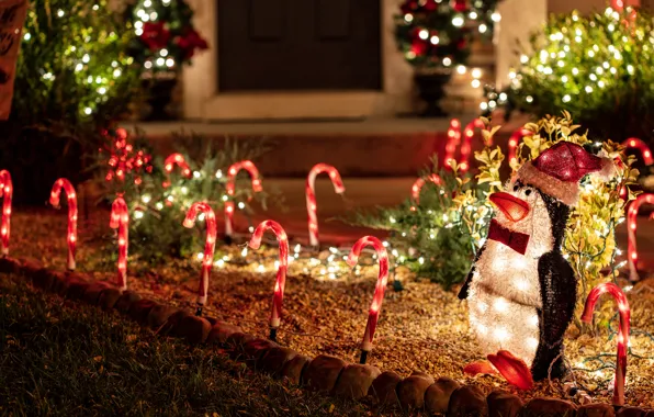 Winter, light, night, house, stones, holiday, toy, lights