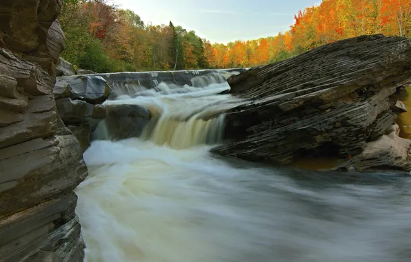 Picture autumn, forest, the sky, trees, river, rocks, stream, thresholds