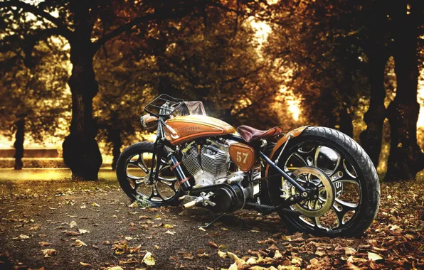 Background, motorcycle, Harley