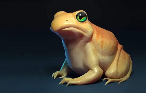 Picture frog, Frog, art, Julien PARISPRO