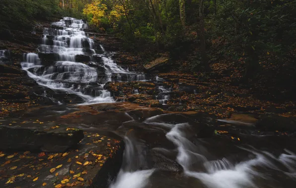 Wallpaper autumn, forest, river, waterfall, cascade, Georgia, GA ...