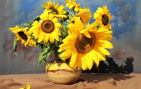 Light, sunflowers, bouquet, vase, strokes