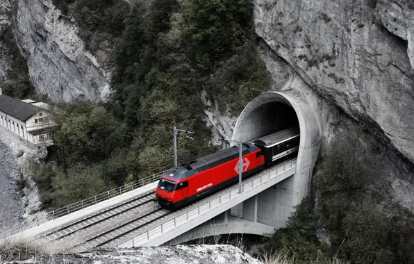 Picture trees, rock, train, plants, railroad, the tunnel, rock, trees