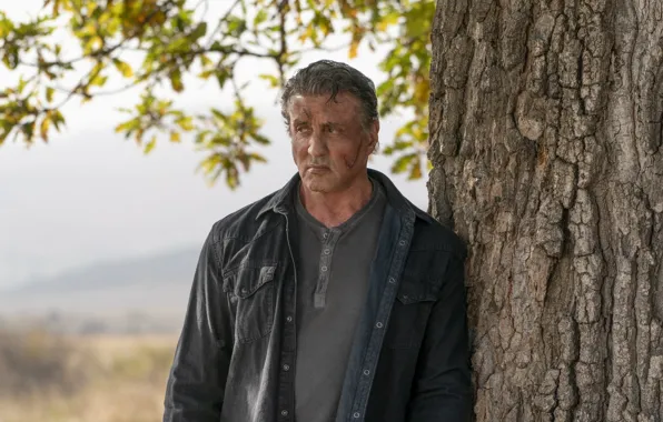 Picture look, pose, tree, Sylvester Stallone, Sylvester Stallone, John Rambo, Rambo: Last blood, Rambo: Last Blood