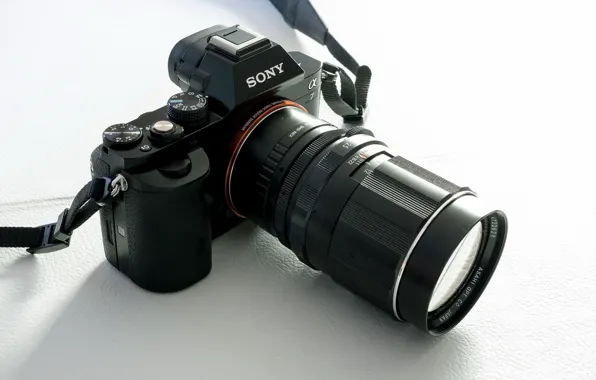 Macro, background, camera, A7 &ampamp; Pentax 135mm