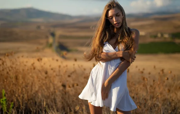 Alina, sky, field, nature, brown, scenic, clouds, bokeh