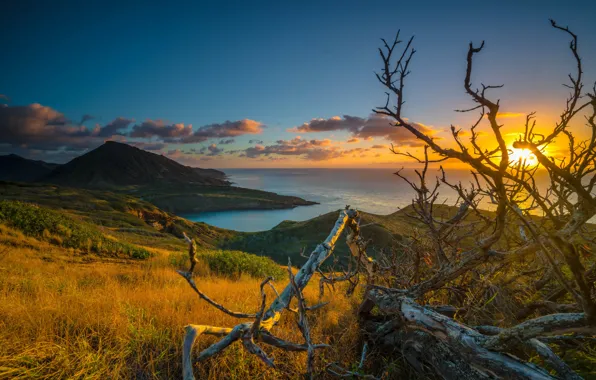 Sea, the sky, the sun, clouds, sunset, mountains, tropics, coast