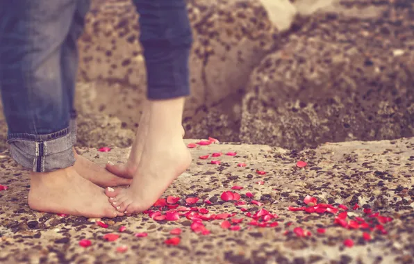 Love, feet, petals, pair, love, happy, people, romantic