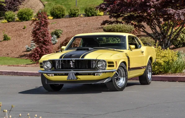 Mustang, Ford, Mustang, Boss 302, Ford, 1970